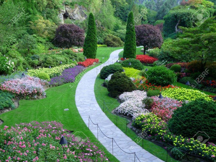 Elevated Outdoor Services of Colorado