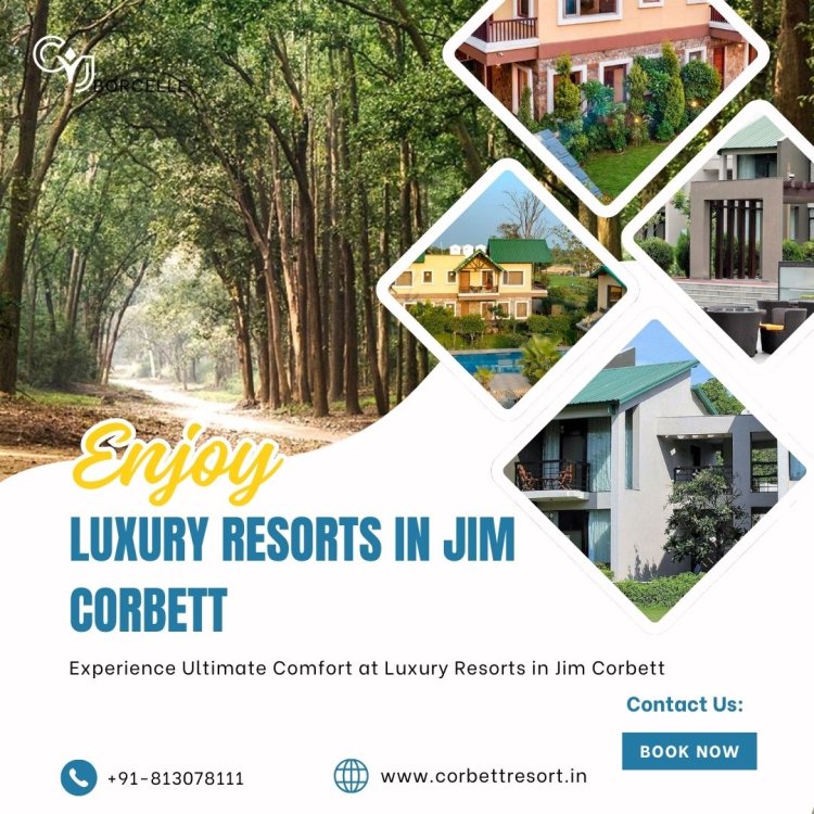 Experience Ultimate Comfort at Luxury Resorts in Jim Corbett