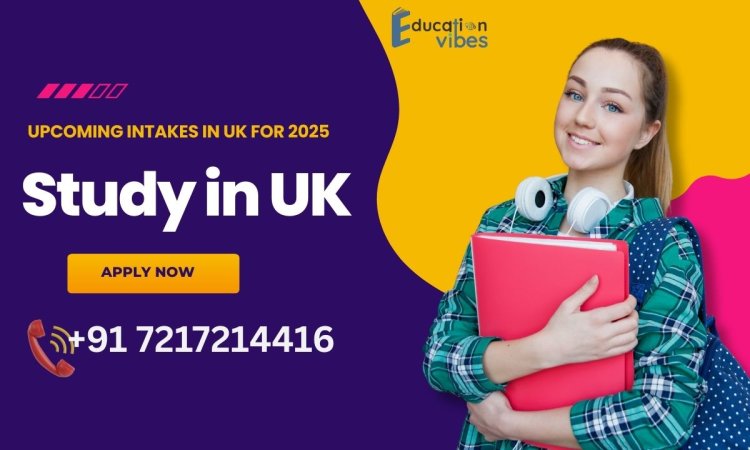 Why is the UK a popular destination for international students?