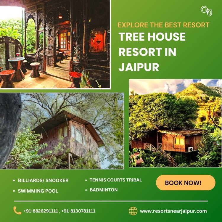 Discover the Best Tree House Resort for a Unique Stay in the Wild