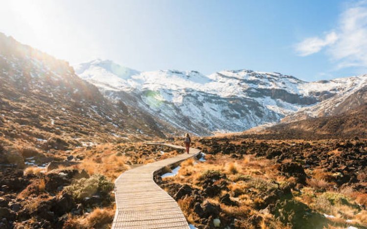 9 Scenic Hikes in New Zealand You Can’t Miss