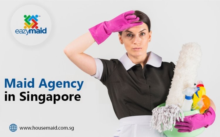 Professional Maid Agency in Singapore Safe and Efficient Service