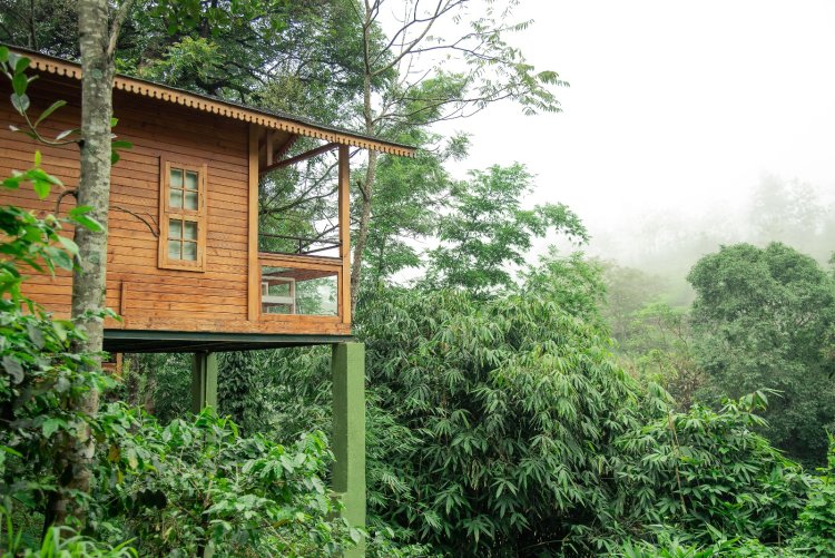 Eco-Resorts in Kuttikkanam: Sustainable Stays Surrounded by Kerala’s Western Ghats