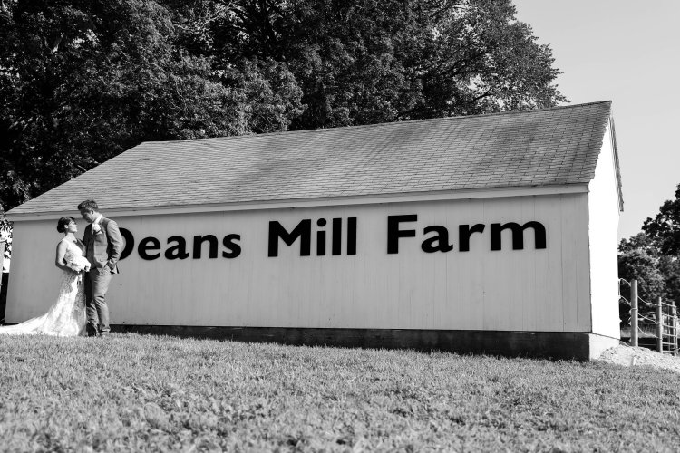 Experience the Charm of Deans Mill Farm in Stonington, CT