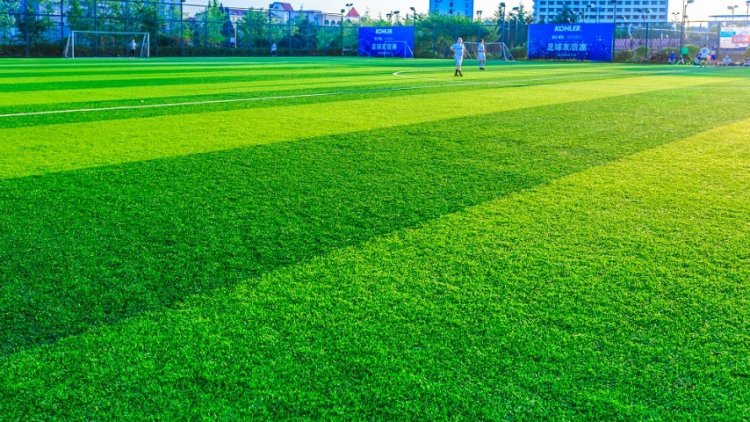 How Do I Find A Reliable Artificial Turf Hire Company In Australia?