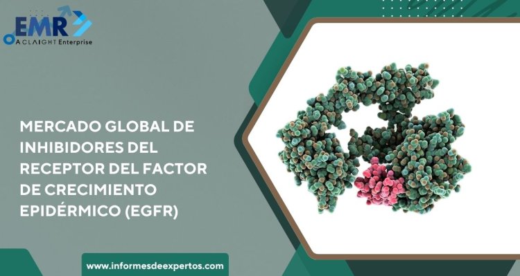 Perspectivas del Mercado Global de Inhibidores EGFR: Análisis Estratégico y Crecimiento hasta 2034