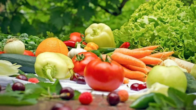 The Rise of Organic Foods: A Healthier Path to Sustainable Living