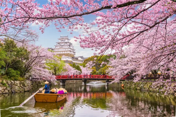 Romantic Destinations in Japan: A Journey for Two Hearts