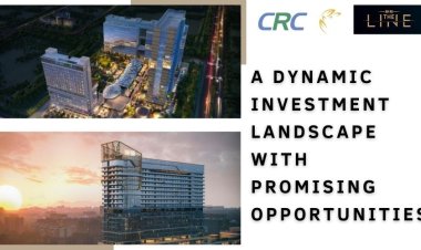 A Dynamic Investment Landscape with Promising Opportunities