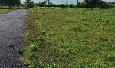 DTCP AND RARA APPROVED PLOTS FOR SALE AT VEPPAMBAATTU