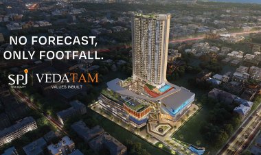 SPJ Vedatam 14 - Commercial Property in sector 14