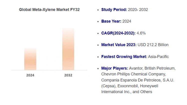 Meta-Xylene Market Trends 2024-2032: Key Insights and Strategic Forecast