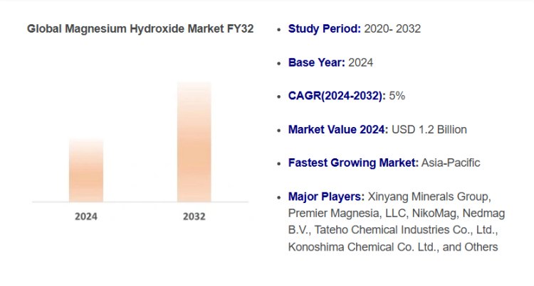 2024 Magnesium Hydroxide Market Analysis: Demand, Trends, and Forecast to 2032