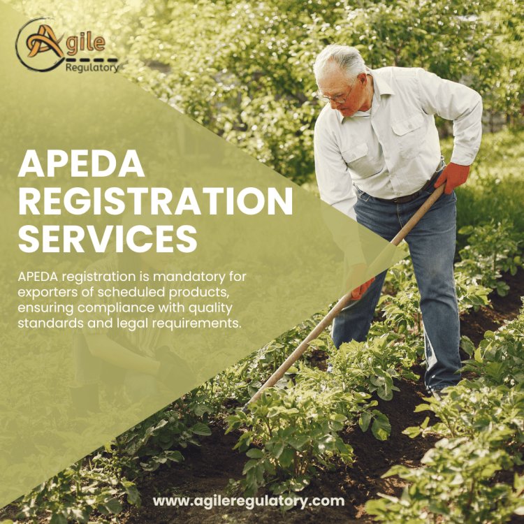 The Future of Indian Agro-Processing: Adapting to Global Standards and Consumer Demands for Food Exportsc