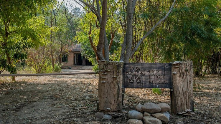Experience Wilderness at Jim's Jungle Retreat Resorts in Jim Corbett