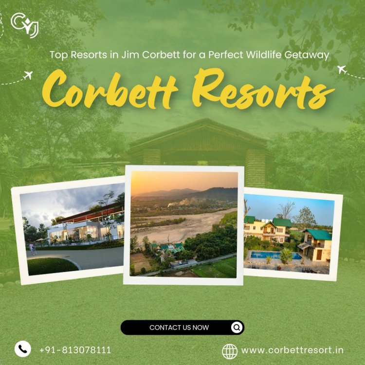 Discover the Best Resorts in Jim Corbett for a Perfect Nature Getaway