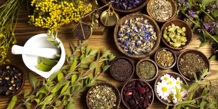 Setting Up a Successful Herbal Medicine Manufacturing Plant Project Report 2025: Business Plan