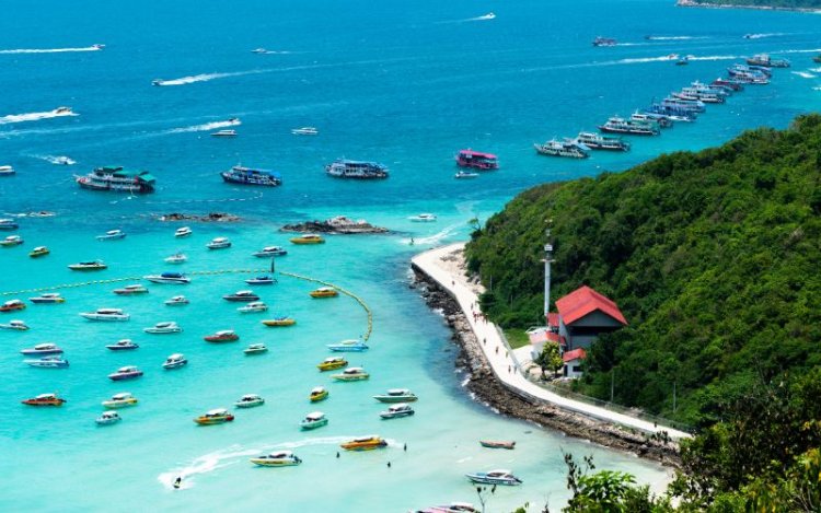 Top 8 activities to do in Pattaya