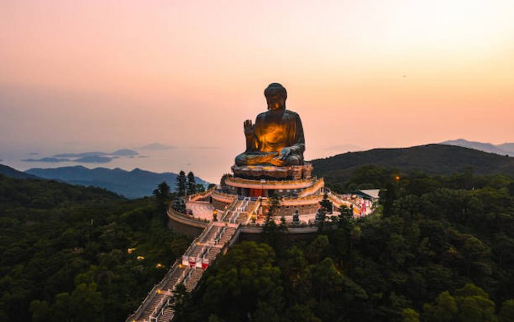 Family-Friendly Attractions in Hong Kong You Shouldn't Miss