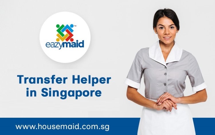 Find the Best Transfer Helper for Your Needs