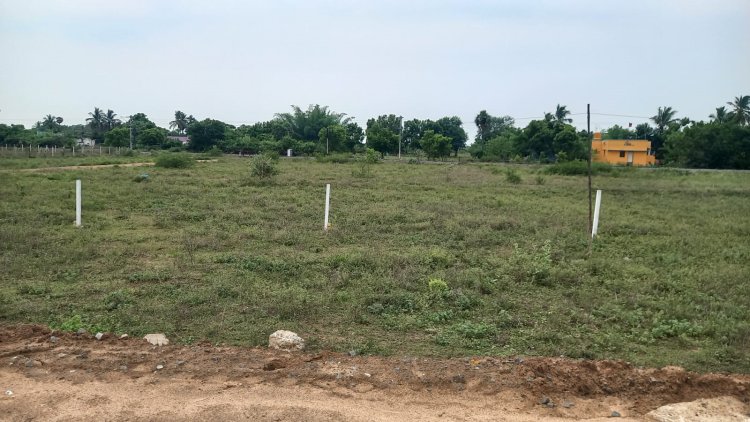 DTCP APPROVED PLOTS FOR SALE AT PALAYASEEVARAM In walajabad to singaperumal kovil highway 4way track.