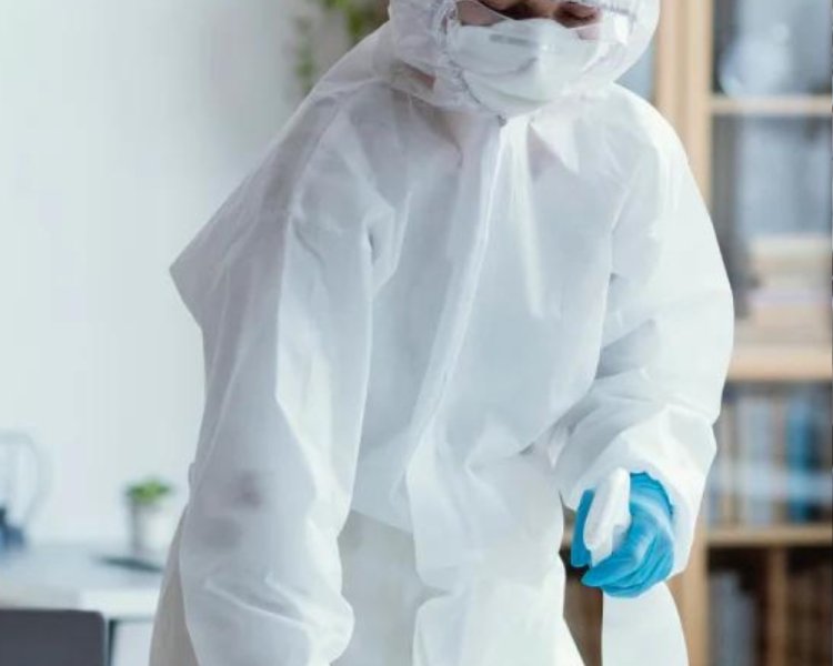 Top 7 Reasons to Hire Professional Pest Control Services in Chennai