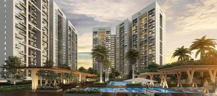 Luxury Apartments in Hero Homes Sector 104 Gurgaon for Sale
