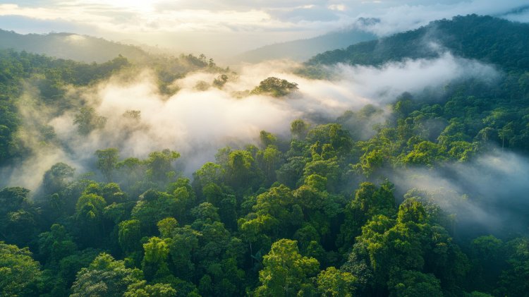 Monsoon Tourist Places in India: Discover the Best Retreats for a Rainy Season Escape