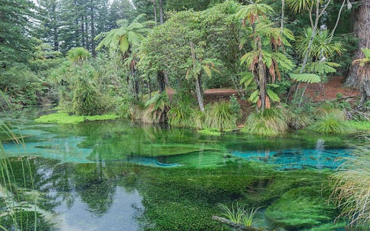 10 Family-Friendly Places to Visit in New Zealand