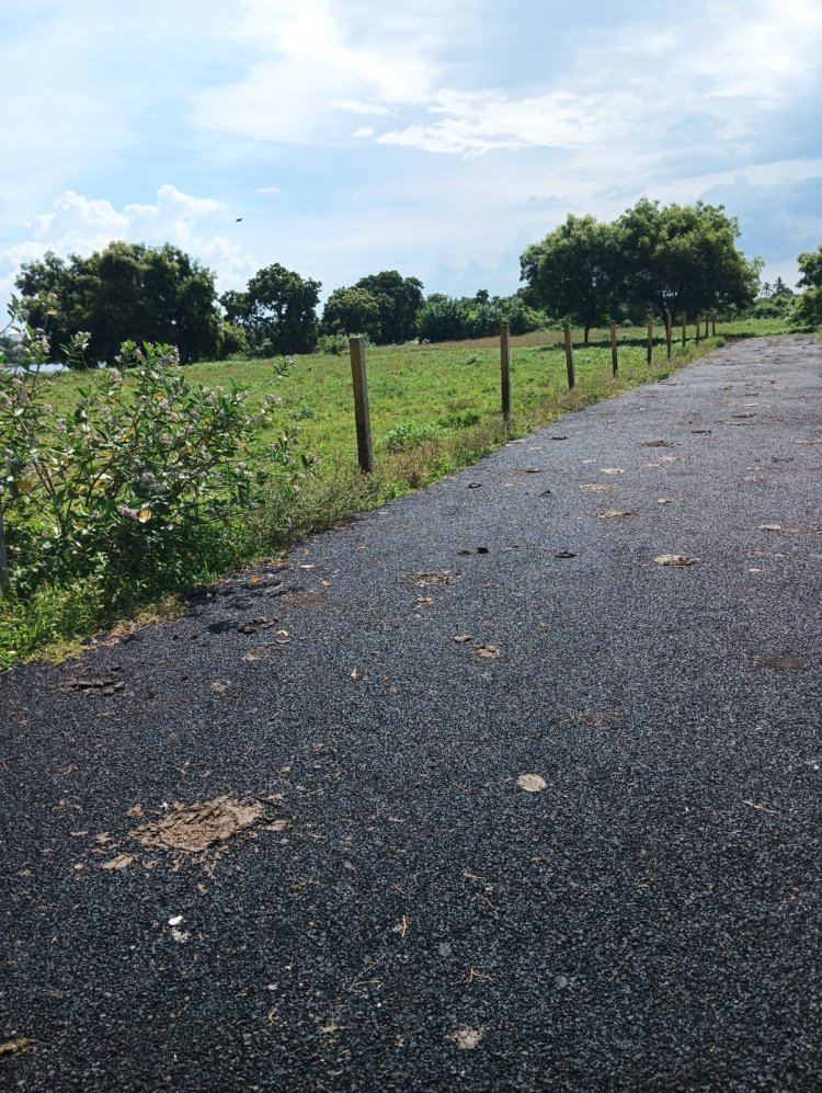 DTCP AND RARA APPROVED PLOTS FOR SALE AT VEPPAMPATTU