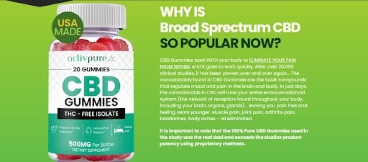 Terra Pro CBD Gummies - What Experts Says Is It Worth the Money?