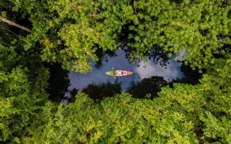 9 Amazing Activities to Enjoy in Krabi Thailand