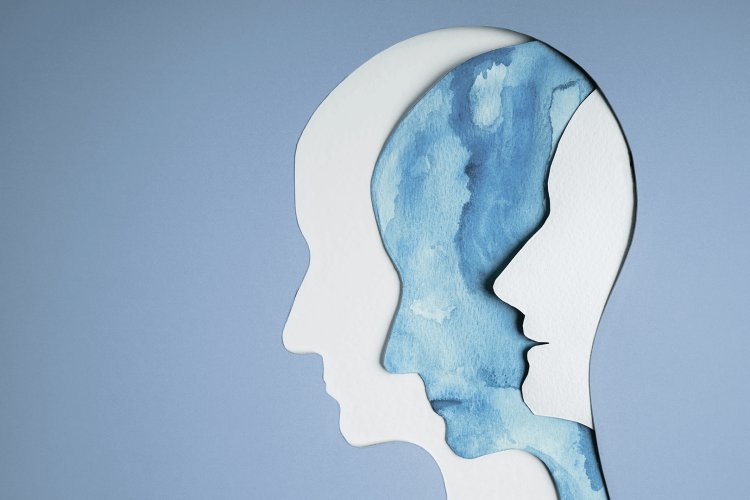How Can a Bipolar Disorder Treatment Centre in Pune Help You