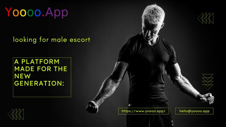 Why Choose Gigolo Services in Noida? The Importance of Screening and Verification