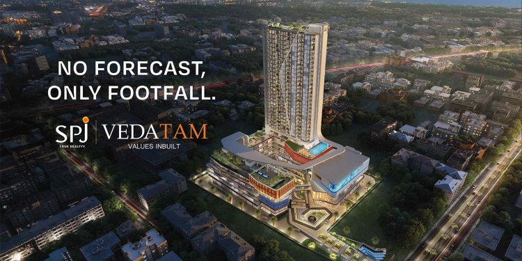 SPJ Vedatam 14 - Commercial Property in sector 14