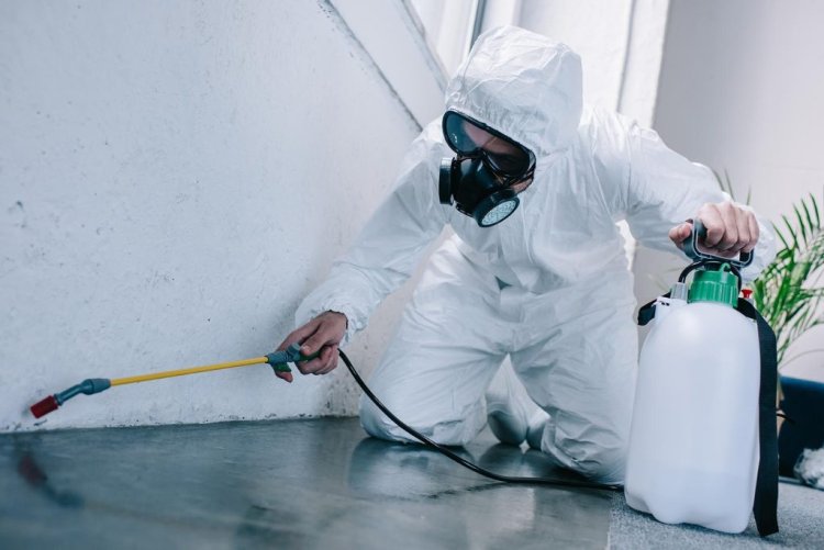 Attain Increased Source Of Information With Pest Proofing London