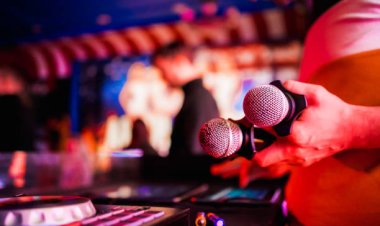 How Do Karaoke DJs Adapt to Different Audience Types?