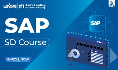 How Do Output Determination User Exits and Data Transfer Routines Work in SAP SD