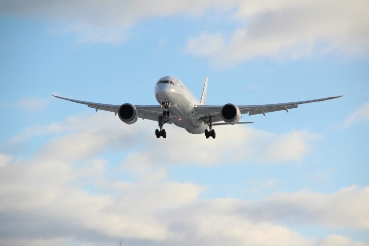 Flighta: How Modern Travel Became a Bliss