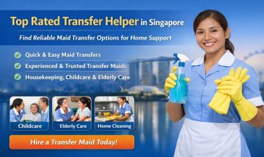 Top Rated Transfer Helper in Singapore for Reliable Domestic Help