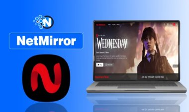 Is NetMirror App Safe and Legal? Complete Review of Features & Streaming Risks