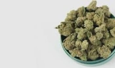 Shop Cannabis Products at Low Prices