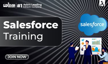 Salesforce Training with Projects: Real-World Learning Approach