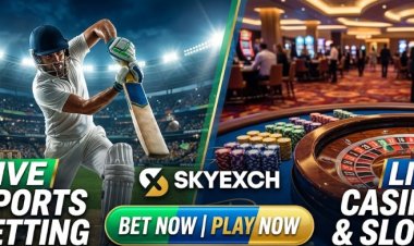 Skyexchange Tips and Tricks to Boost Your Winning Strategy