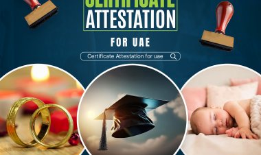 Degree Certificate Attestation in Dubai: A Practical Guide for Expats