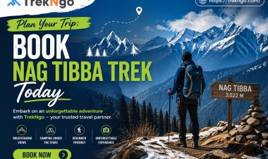 Plan Your Trip: Book Nag Tibba Trek Today