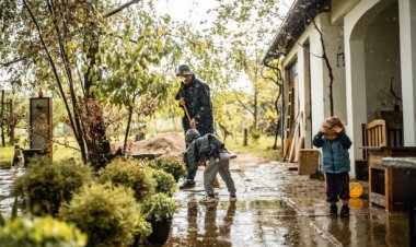 Storm Debris Removal Data: What Items Take the Longest to Clear and Why