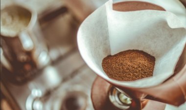 Ways Americans Waste Coffee at Home: Beans, Grounds, and Pods Compared