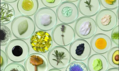 What Clean Label Really Means for Bulk Wellness Ingredients and How to Prove It