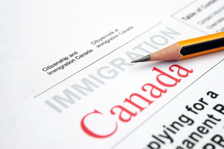 How ​a ‌Canadian ‍​‌‍Study ‌Permit ⁠Opens ⁠Doors ؜‍to ‌the ⁠PGWP ‍​(Post-Graduation ؜‍Work ⁠Permit)